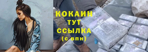 дживик Навашино