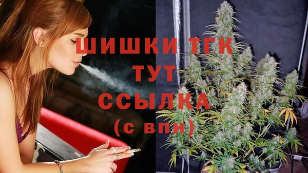 дживик Навашино