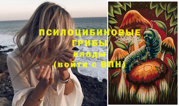 дживик Навашино